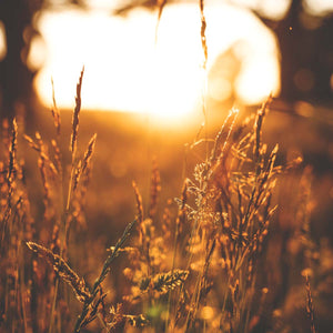Auf dem Promilleweg / Duftkerze im Glas / Kerze Dorfliebe Dorfleben