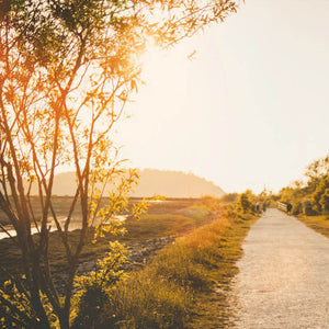 Kerze Dorfkind Landluft Wiese Feld Heu Acker