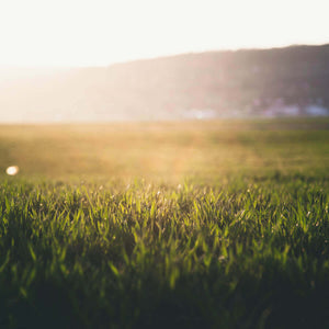 Kerze Wiesenduft Heuduft Landluft
