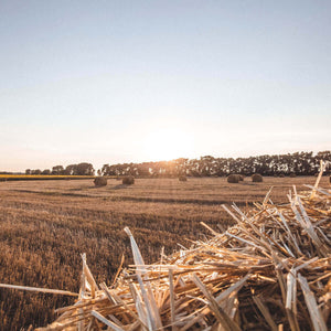 Duftkerze Kerze Heuballen Duft Landluft